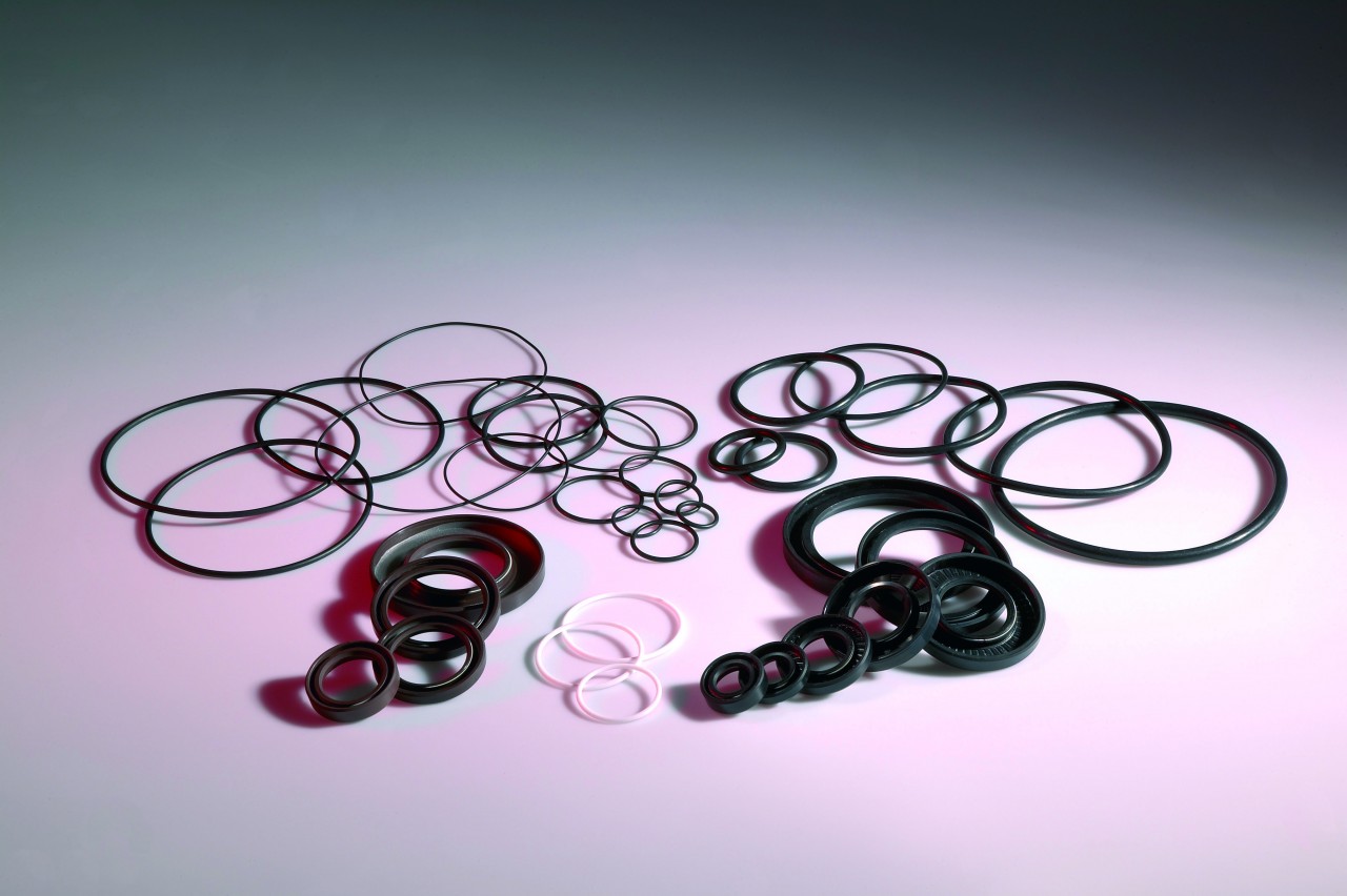 Anelli di tenuta